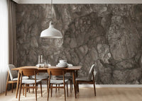 Polished Earthy Brown Stone Texture Wall Mural