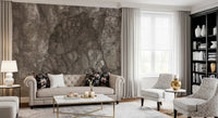 Polished Earthy Brown Stone Texture Wall Mural