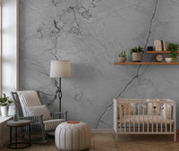Monochrome Veined Stone Wall Mural