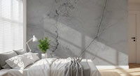 Monochrome Veined Stone Wall Mural