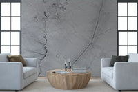 Monochrome Veined Stone Wall Mural