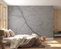 Monochromatic Grey Veined Stone Wall Mural