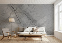 Monochromatic Grey Marble Vein Wall Mural