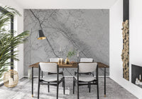Monochromatic Grey Marble Vein Wall Mural