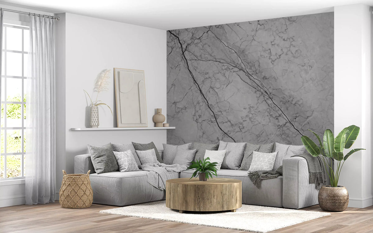 Monochromatic Grey Marble Vein Wall Mural