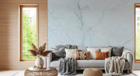 Cool Pale Marble Vein Wall Mural