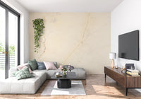 Creamy Marble Stone Texture Wall Mural