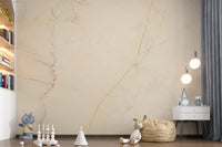 Creamy Marble Stone Texture Wall Mural