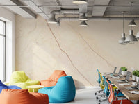Cream Stone Veined Marble Wall Mural