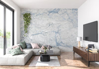 Cool Blue Marble Slab Texture Wall Mural
