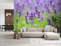 Abstract Floral Lavender Harmony Wall Mural