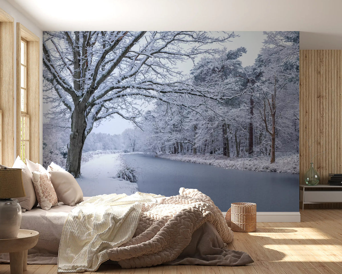 Snowy River Path Wall Mural