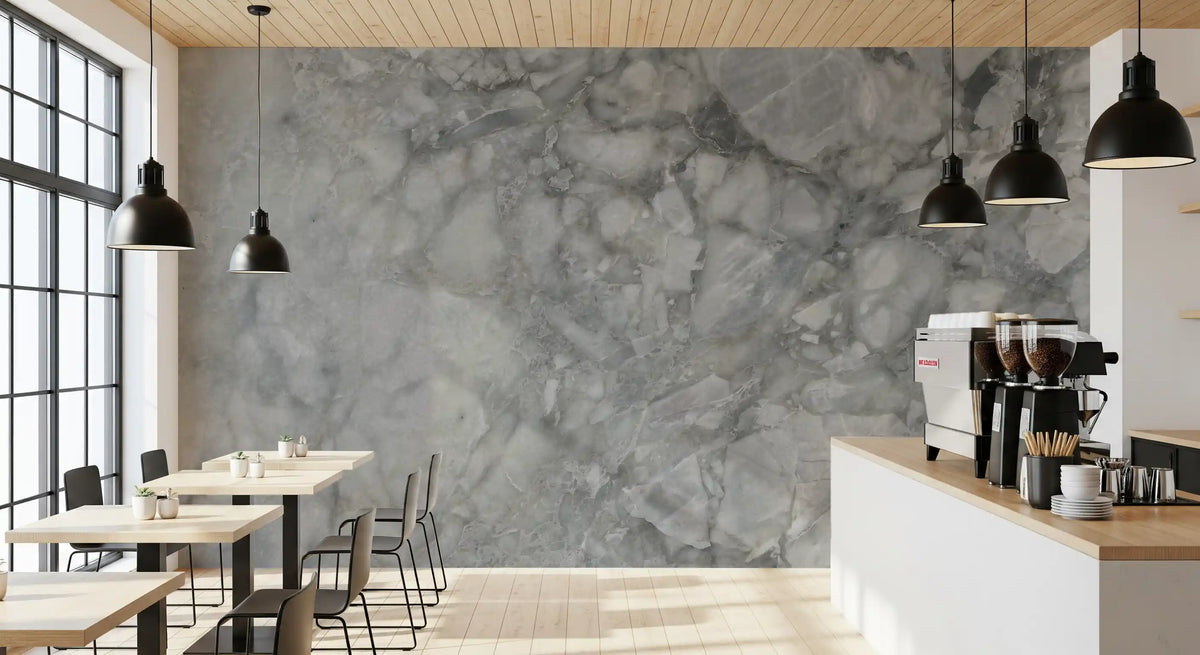 Cool Grey Marble Slab Wall Mural