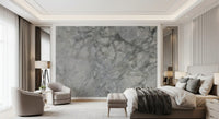 Cool Grey Marble Slab Wall Mural