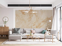 Cream And Sienna Marble Slab Wall Mural
