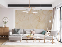 Cream Terrazzo Stone Texture Wall Mural