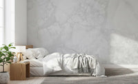 Monochrome Carrara Marble Texture Wall Mural