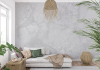 Monochrome Carrara Marble Texture Wall Mural