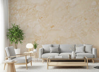 Cream Stone Texture Surface Wall Mural