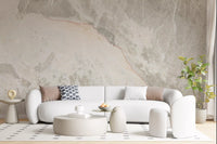 Neutral Stone Vein Texture Wall Mural