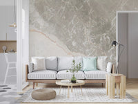 Serene Grey Marble Veining Wall Mural