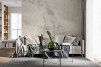 Natural Cream and Gray Marble Slab Wall Mural
