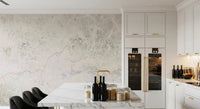 Natural Stone Vein Texture Wall Mural