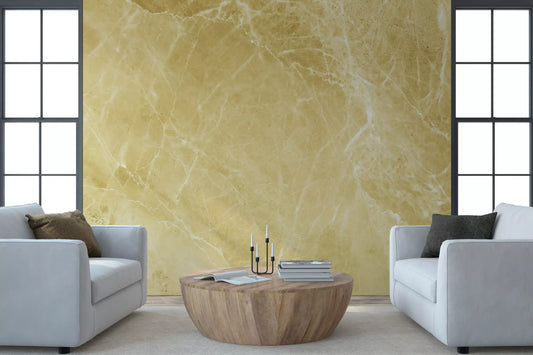 Golden Sand Marble Vein Wall Mural