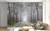 Enchanted Foggy Pine Corridor Wall Mural