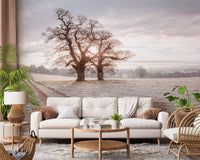 Misty Morning Meadow Wall Mural