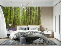 Springtime Woodland Floral Path Wall Mural