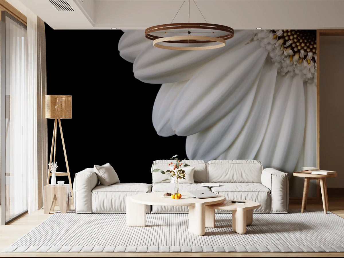 Floral wallpaper of a white gerbera on black behind a pale living room sofa GD13027