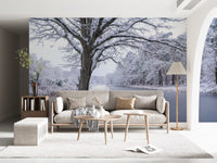 Frozen Canal Winter Wonderland Wall Mural