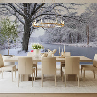 Frozen Canal Winter Wonderland Wall Mural