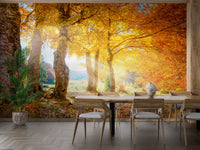 Yellow Autumn Leaves Forest Wallpaper Mural - Giffywalls
