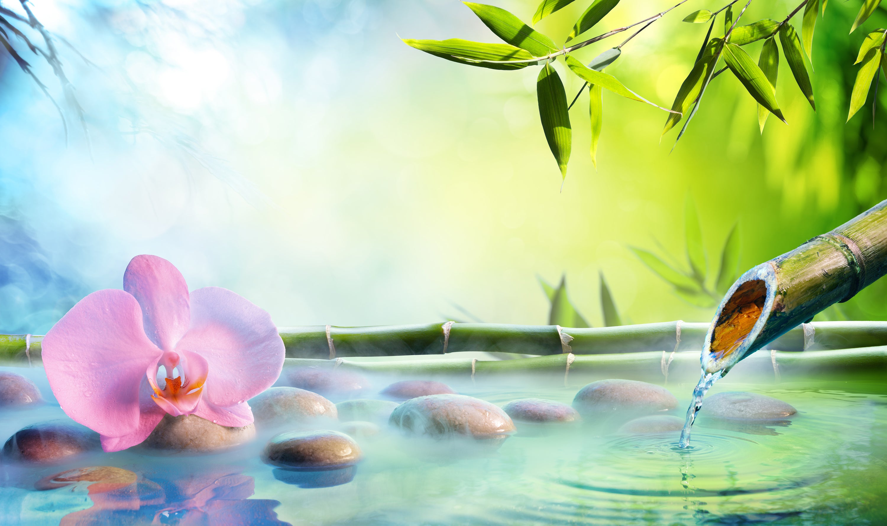 Peaceful Bamboo Grove Wall Mural in your room — zoomed