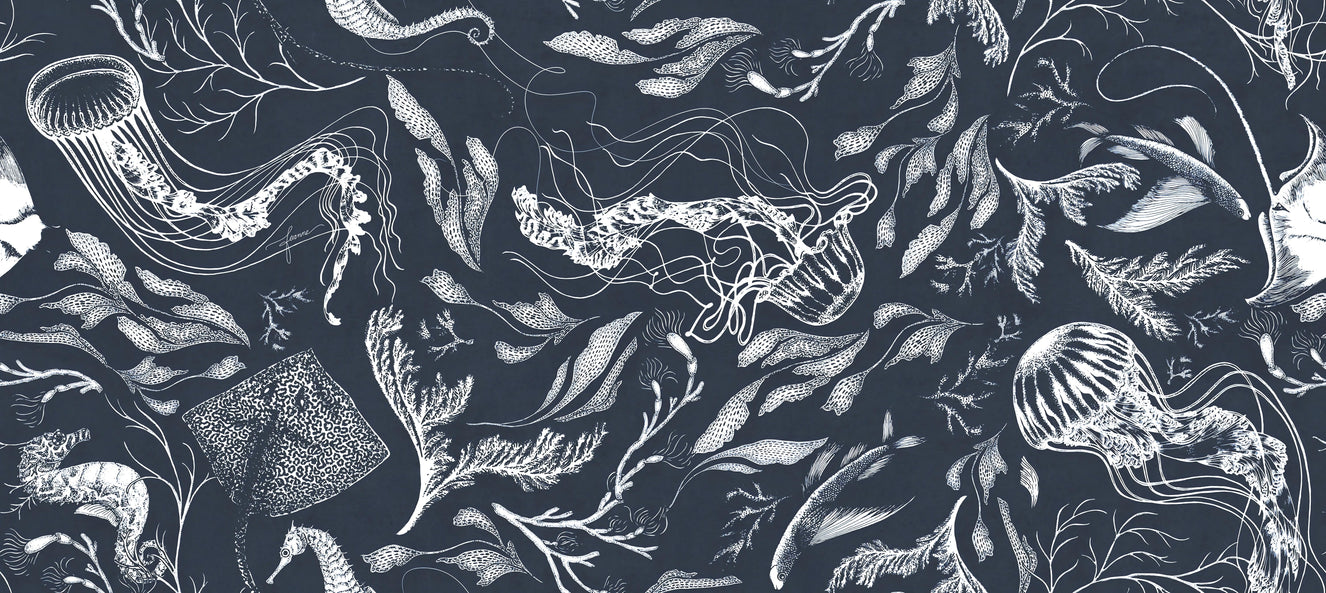 Navy Marine Life Wallpaper