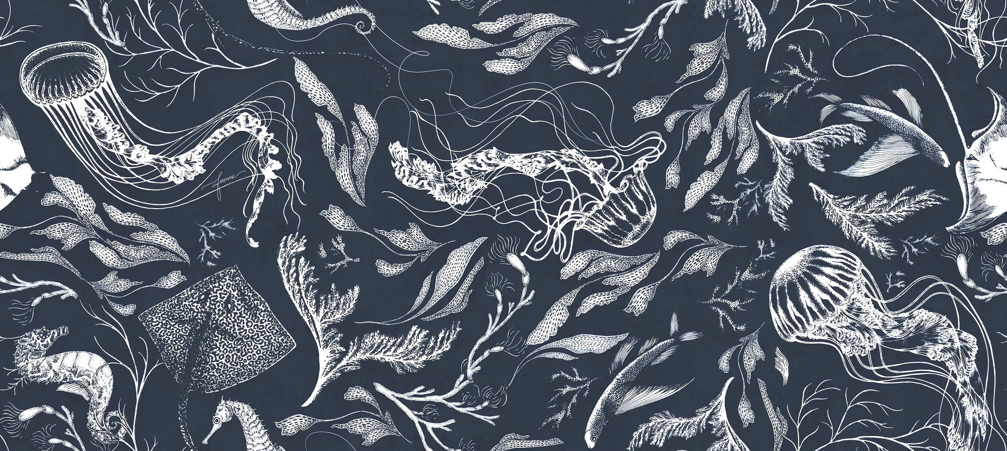 Navy Marine Life Wallpaper