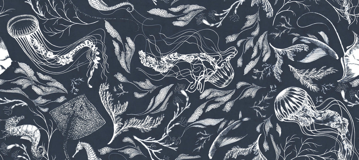Navy Marine Life Wallpaper in your room — zoomed