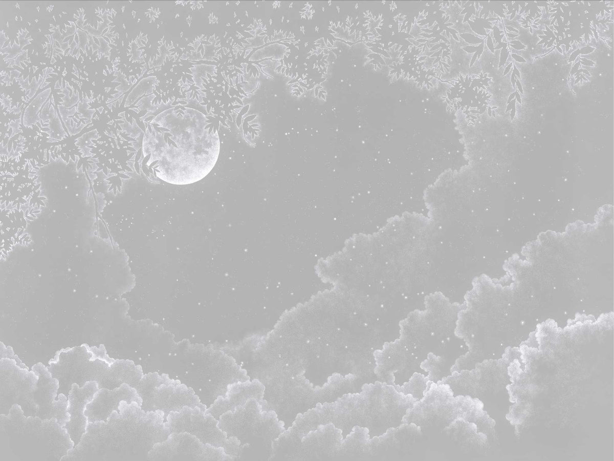 Moonlit Starry Night Sky Mural