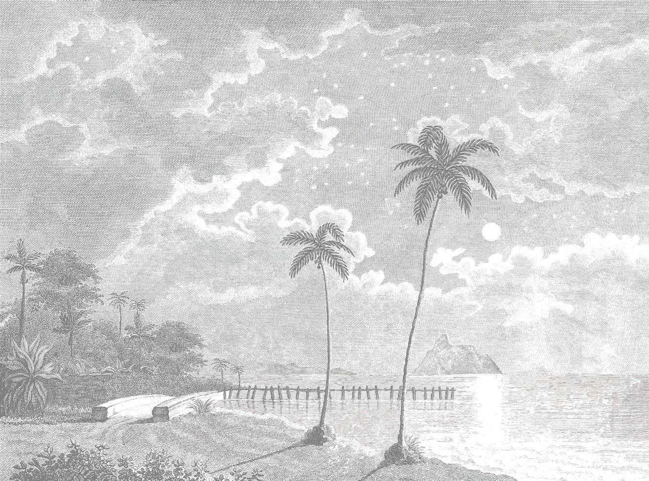 Vintage Moonlit Tropical Beach Etching Wallpaper