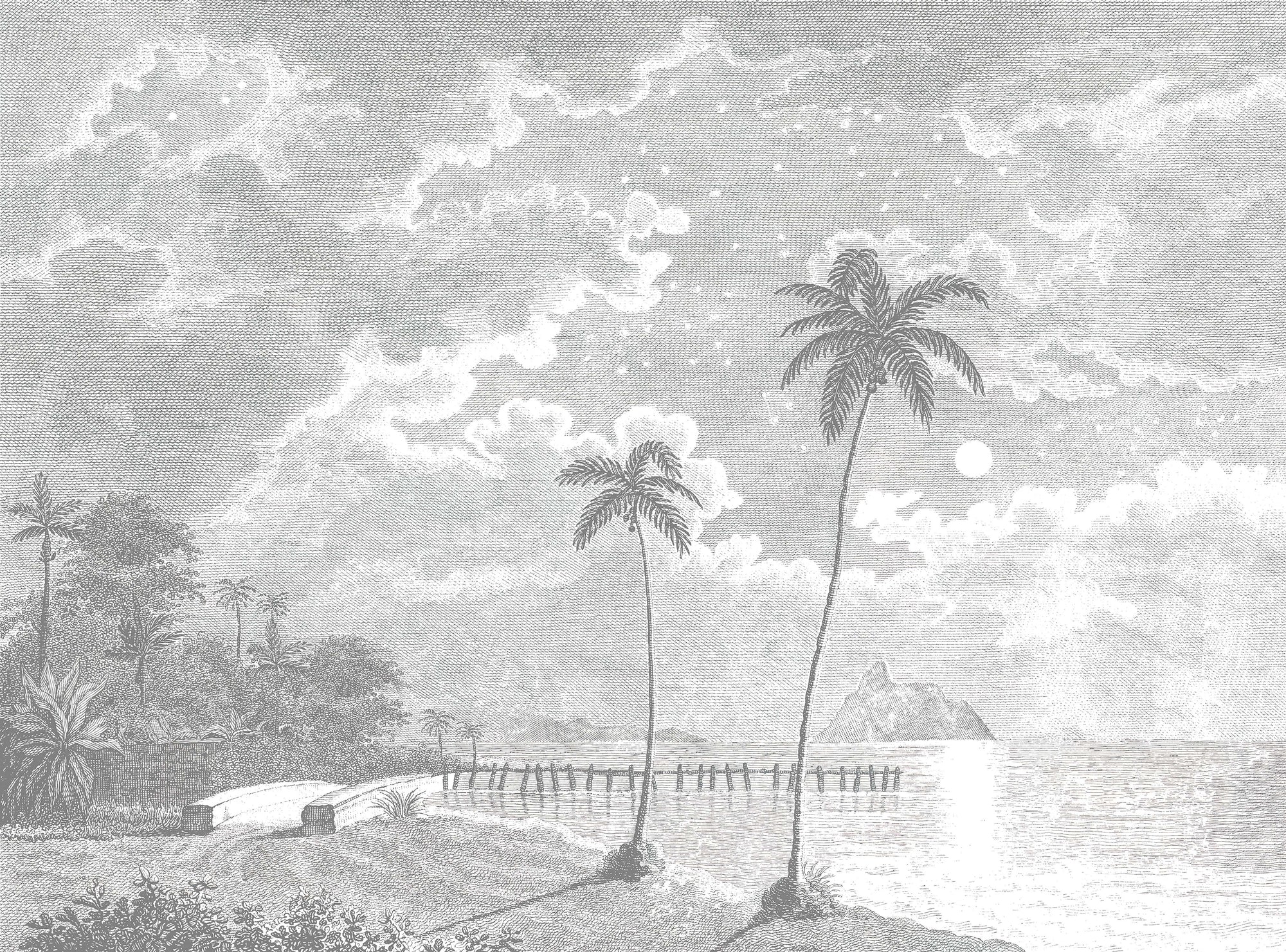 Vintage Moonlit Tropical Beach Etching Wallpaper