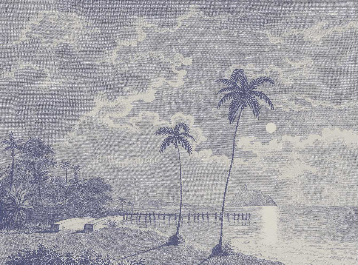 Vintage Moonlit Tropical Beach Engraving Wallpaper in your room — zoomed