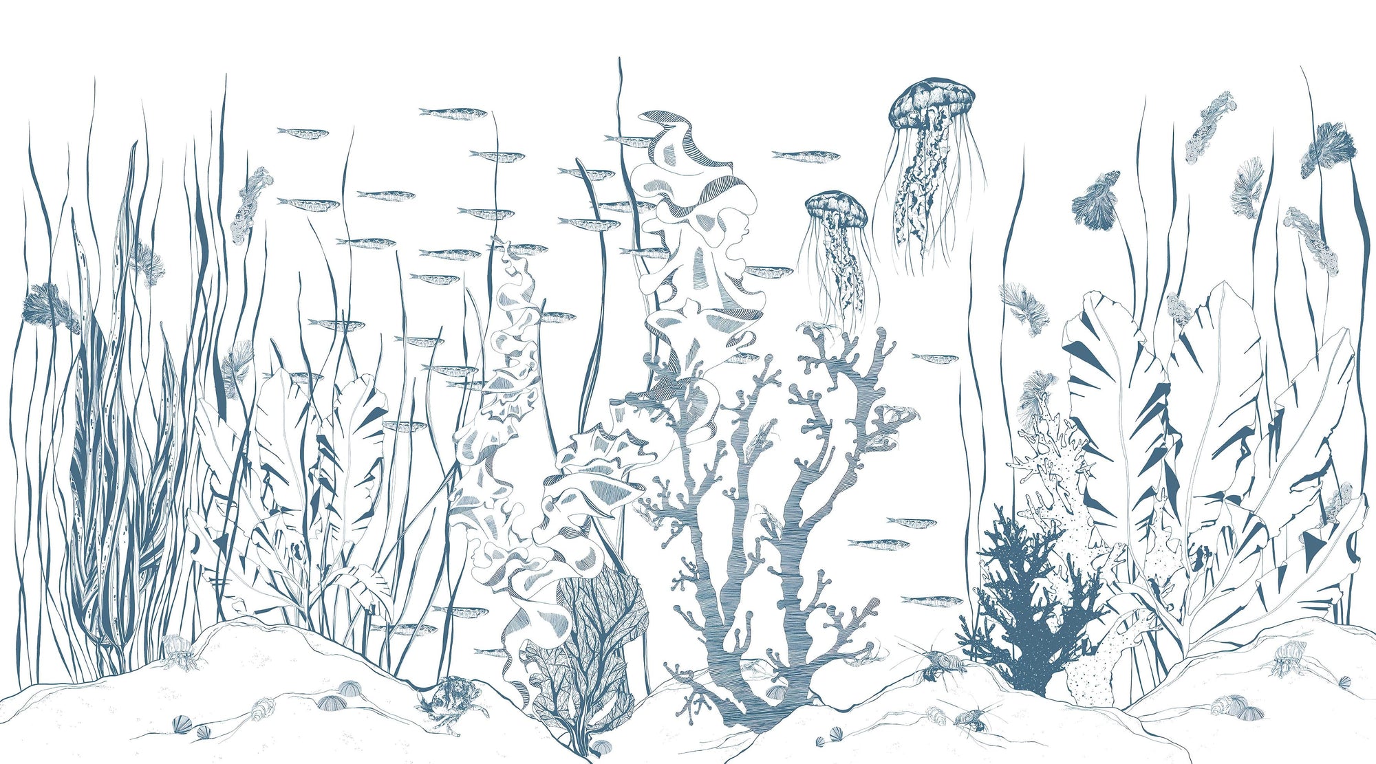 Hand-Drawn Underwater Marine Mural