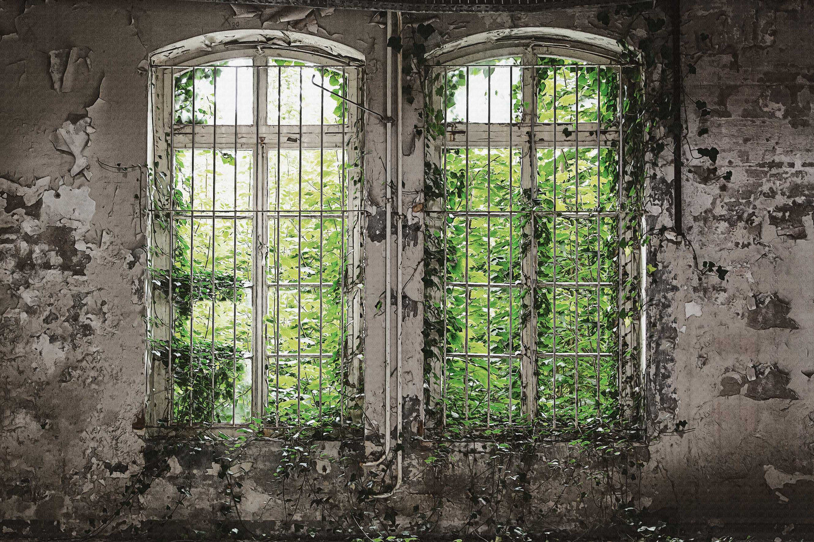 Abandoned Window Overgrown with Vines Wallpaper