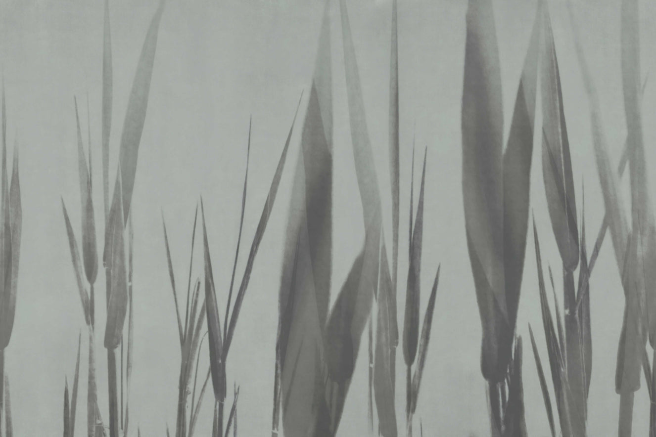 Monochrome Botanical Grass Wall Mural