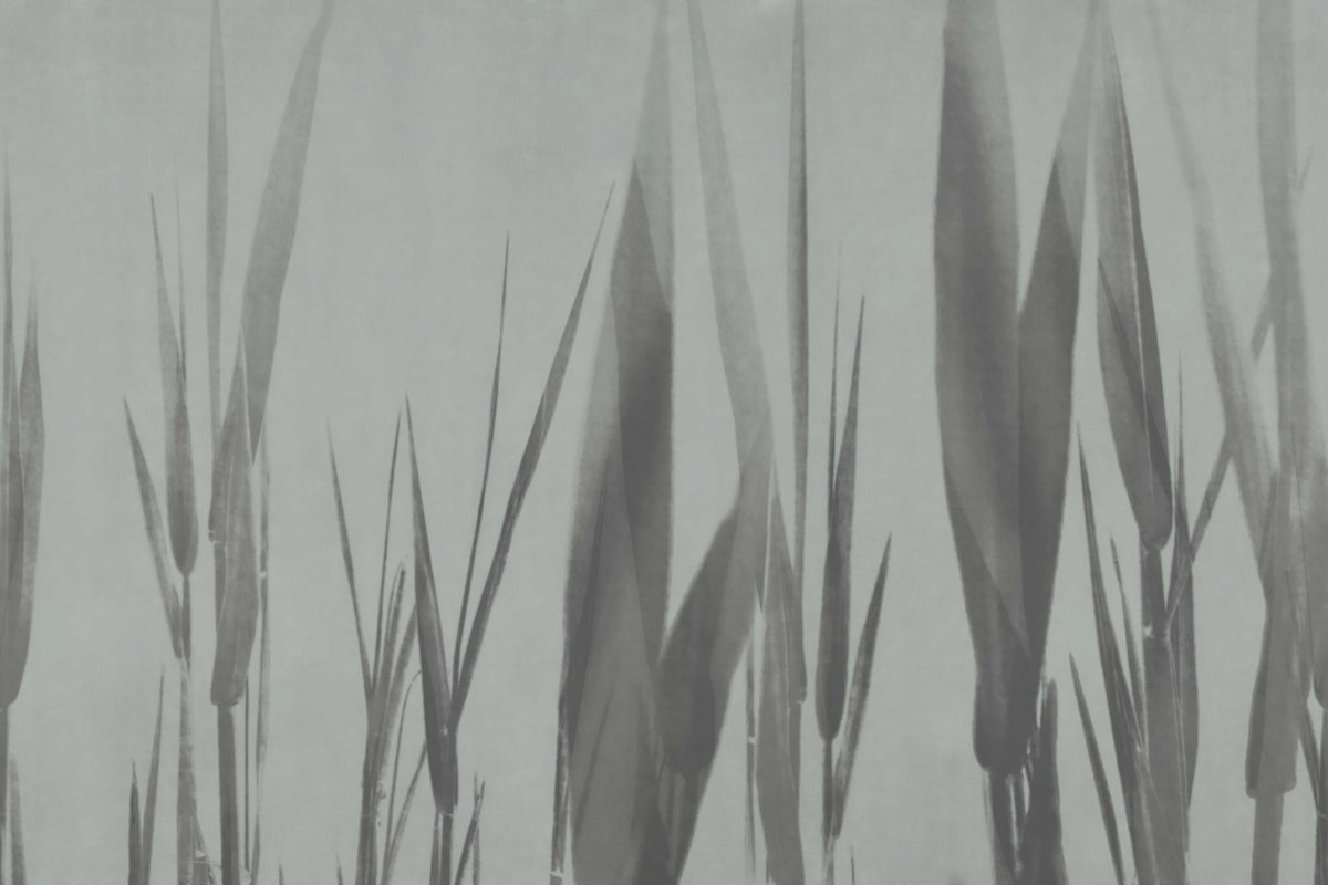 Monochrome Botanical Grass Wall Mural in your room — zoomed
