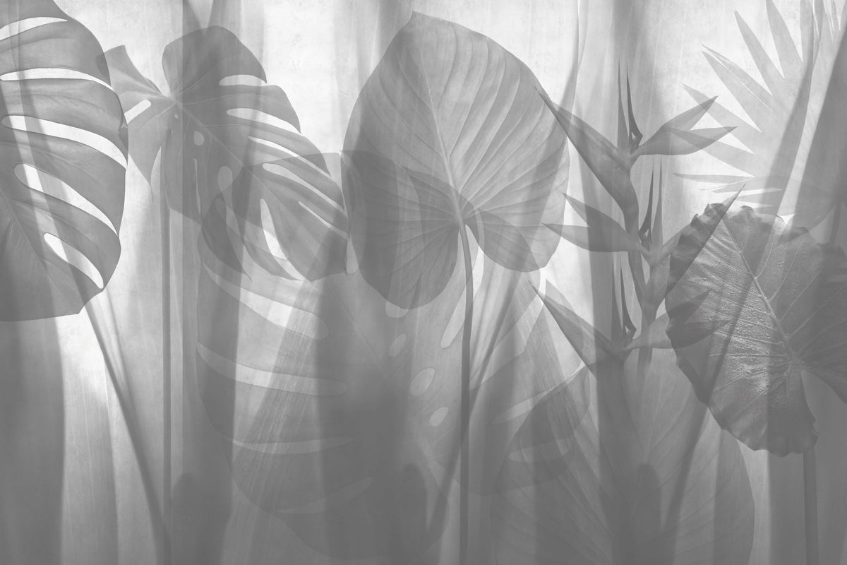 Monochrome Tropical Leaves Wallpaper in your room