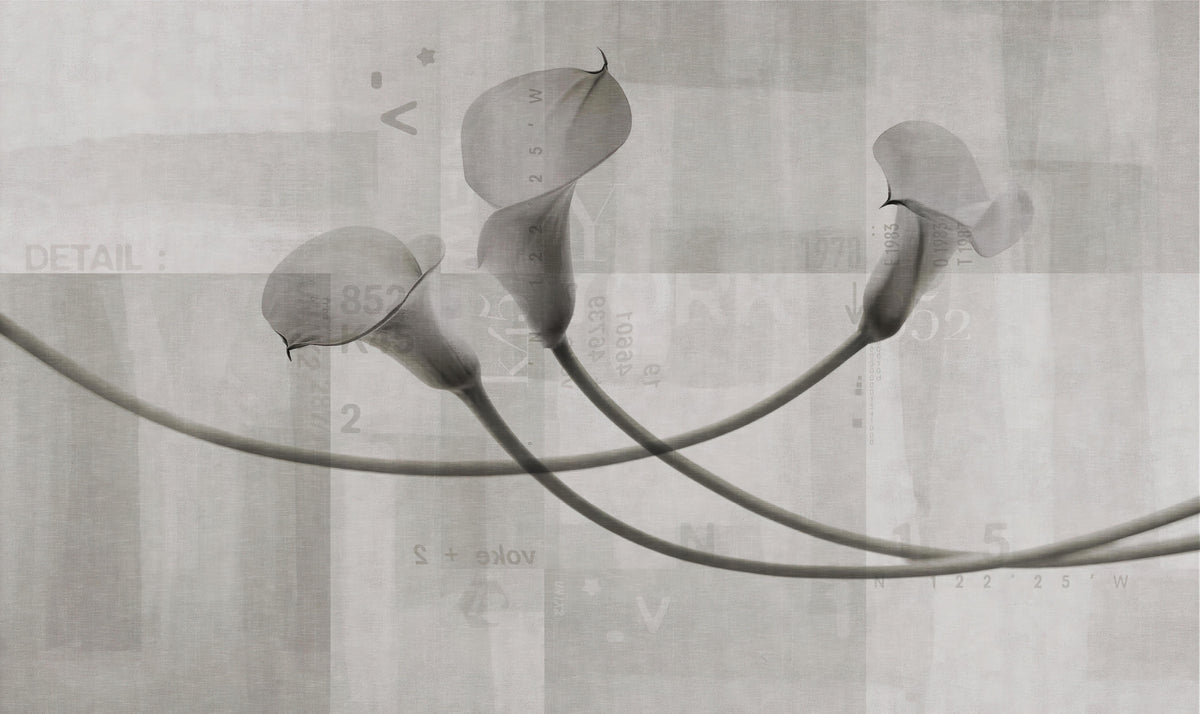 Monochrome Calla Lily Floral ArT Wall Mural in your room