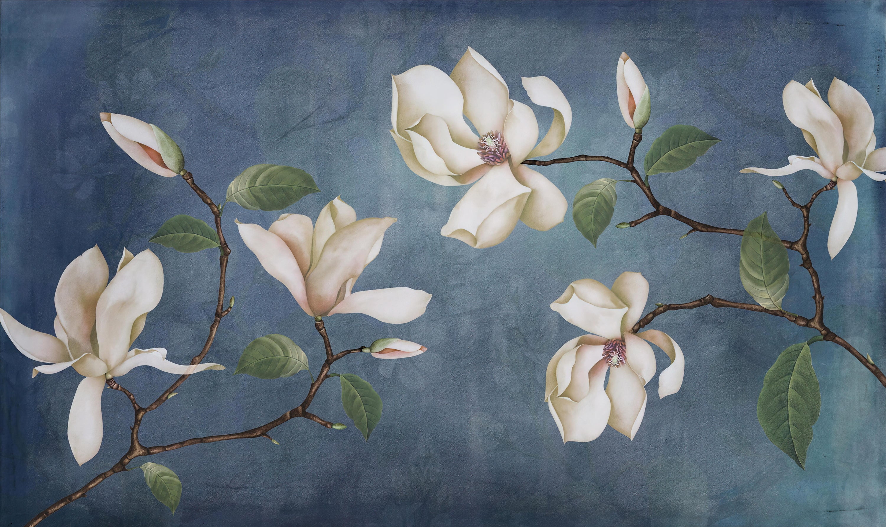 Elegant Magnolia Blossom Wallpaper Mural in your room — zoomed